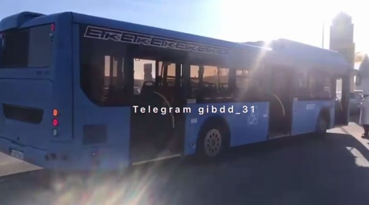В Белгороде женщина на легковушке попала под автобус