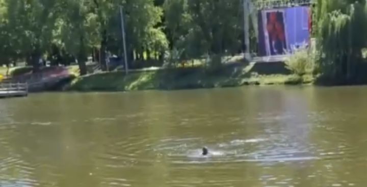 В Белгороде неофициально открыли купальный сезон