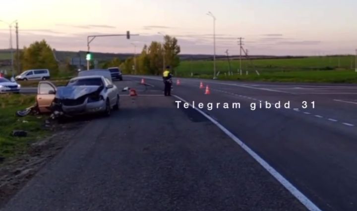 В Белгородской области мотоциклист погиб под колесами машины