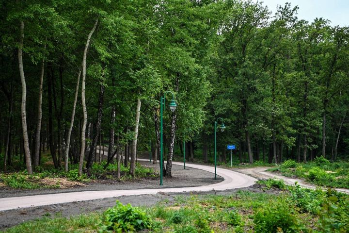 В Белгороде приостановили строительство беговой дорожки в Сосновке
