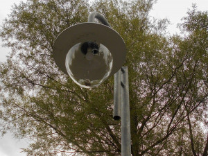 В Белгороде вандалы разбили фонари возле велодорожки
