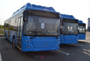 В Белгород привезли новые автобусы
