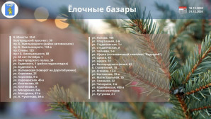 В Белгороде открылись ёлочные базары