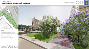 В Белгороде создадут дождевой сад