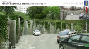 В Белгороде создадут дождевой сад
