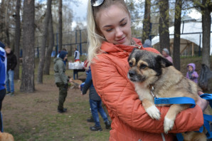 В центральном парке Белгорода бесплатно раздали собак 