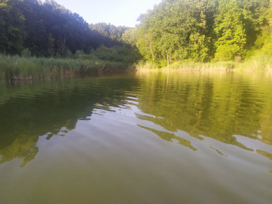 Рабочая неделя в Белгороде начнется с 34-градусной жары