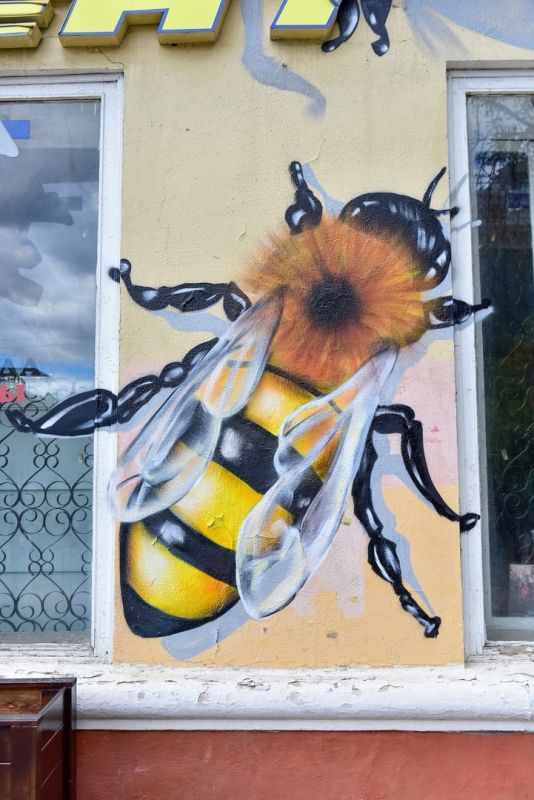 Пчела арк. Пчела прилетела. Огромная пчела в Екатеринбурга. Огромные пчелы Сочи. День р гигантские пчелы.