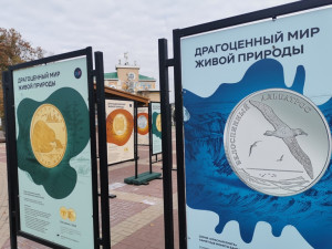 В Белгороде открыли выставку необычных монет