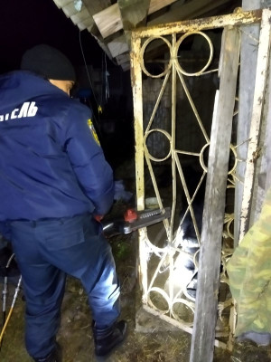 Белгородские пожарные спасли собак, попавших в беду 