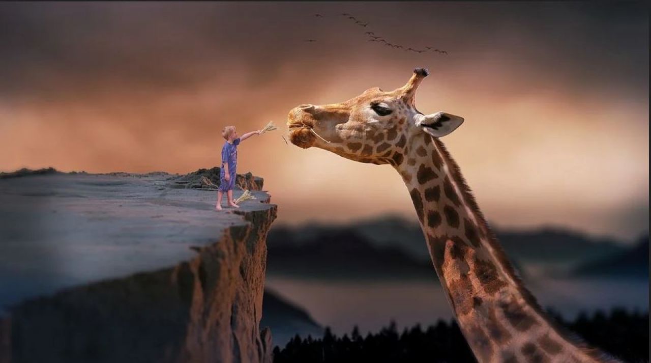 21 октября никому не рассказывайте о своих снах