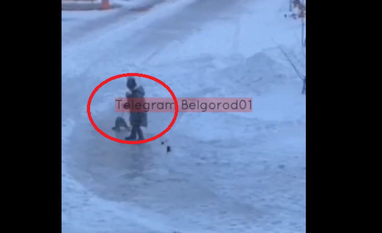 В Белгороде девочка жестоко выгуливала кота