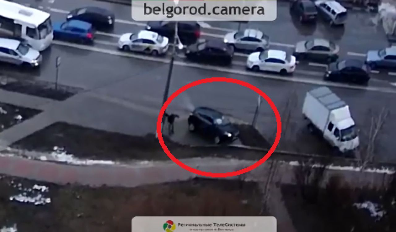 Белгород вчера вечером. Камеры на дорогах Белгород. Камеры видеонаблюдения Киржач ДТП. Что случилось в Белгороде.