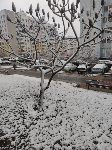 Белгородцев предупреждают о снеге и сильном ветре