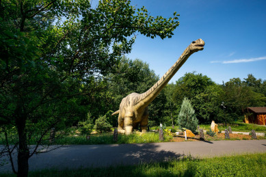 В Белгороде откроется парк динозавров