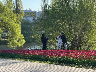 В Белгороде охранники фотографировались верхом на искусственной ламе