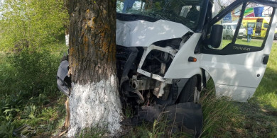 В Белгородской области автобус с пассажирами влетел в дерево