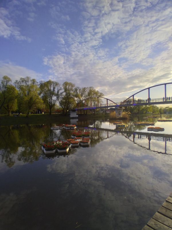 В Белгороде оштрафовали родителей подростков, катавшихся по реке на фестивальных инсталляциях