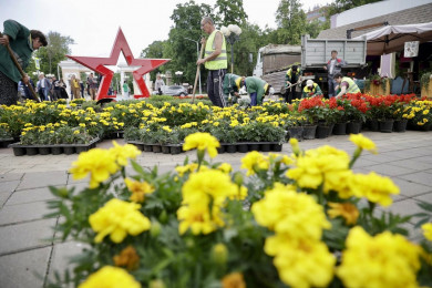 В Белгороде пройдет летний фестиваль
