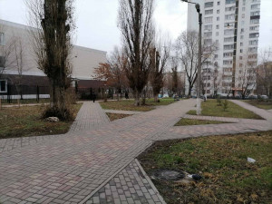 В Белгороде выкладывают плиткой «народные тропы»