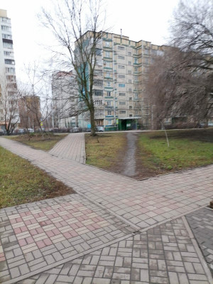 В Белгороде выкладывают плиткой «народные тропы»