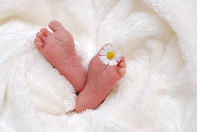 Белгородцы могут оформить свидетельство о рождении ребёнка на «Госуслугах»