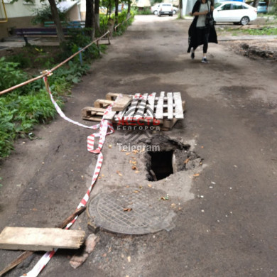 В Белгороде во дворе провалилась плита, в яму упали котята