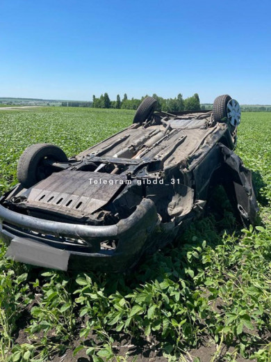 В Белгородском районе в поле перевернулся автомобиль 