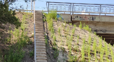 Жители Белгорода жалуются на опасную лестницу
