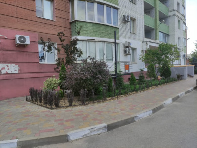 УК «Аспект»: «Наши жильцы одни из первых по озеленению двора!»