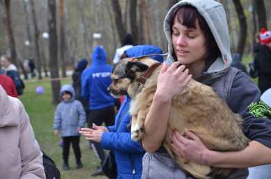 В Белгороде пройдёт «День счастливой собаки»