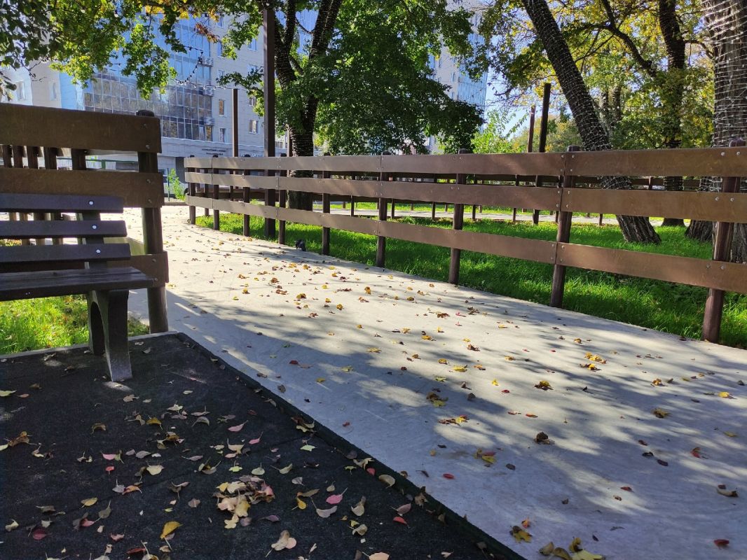 Доброе утро, белгородцы! Празднуем День засыпающих деревьев