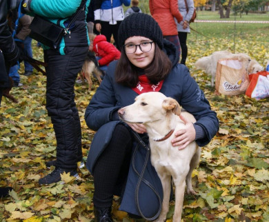 В Белгороде раздадут в добрые руки бездомных собак