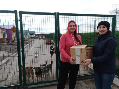 Белгородские школьники помогают бездомным животным