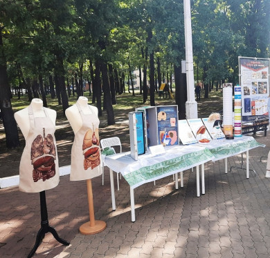 В Белгороде открылась выставка с макетами человеческих органов