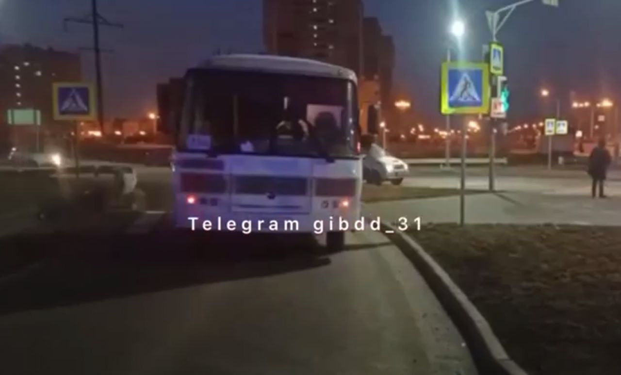 В Белгороде автобус сбил девушку