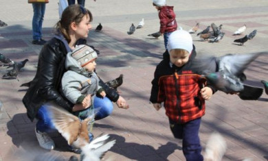 Белгородцы просят пресечь кормление голубей 