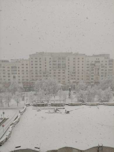 В Белгороде коммунальщики чистят снег