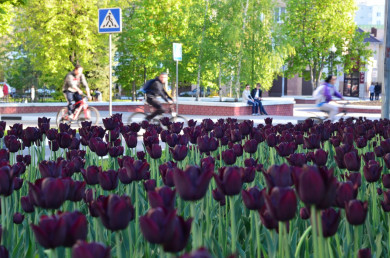 Белгородчина вошла в десятку лучших по качеству жизни регионов