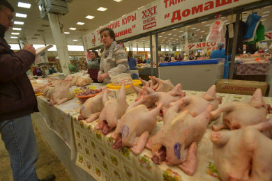 Белгородчина лидирует в России по поголовью птицы