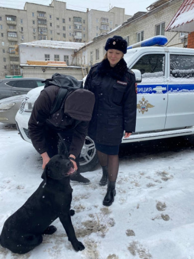 Полицейские помогли белгородцу найти потерявшегося пса