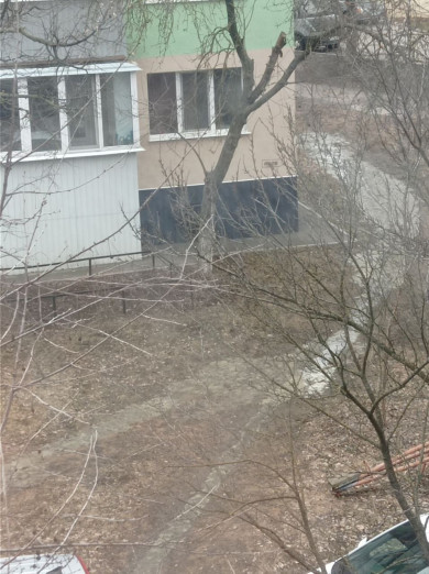 В спальном районе Белгорода растеклась фекальная река