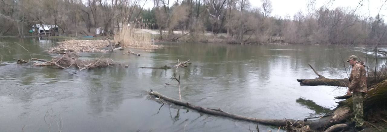 В реке Оскол нашли труп мужчины с разбитым лицом