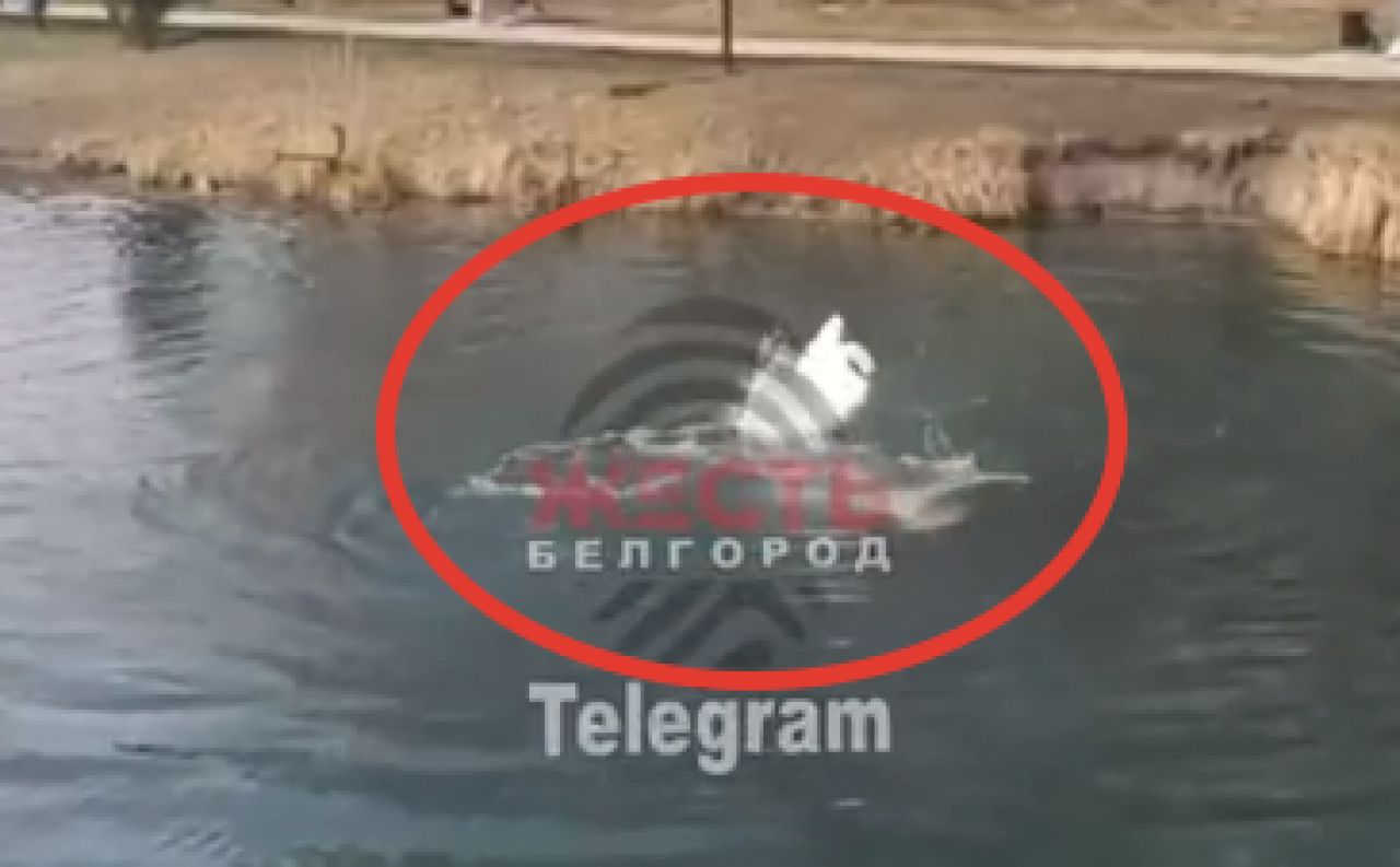 Видео нападения на белгородскую область. Лебедь напал на человека. Лебедь напал на мужика.