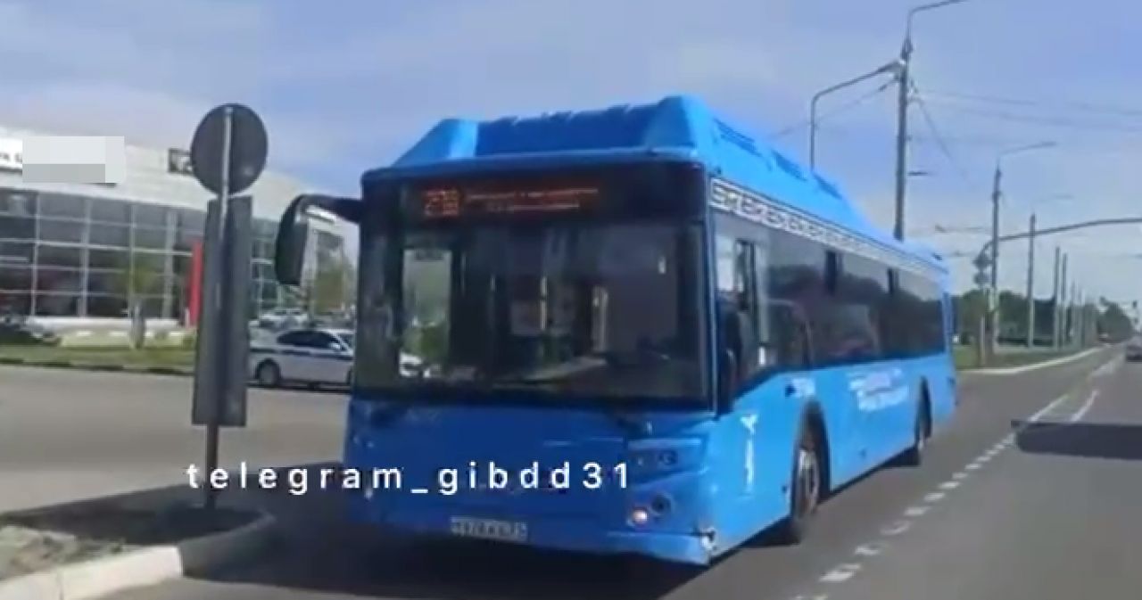 В Белгороде машина въехала в автобус и уронила пассажирку