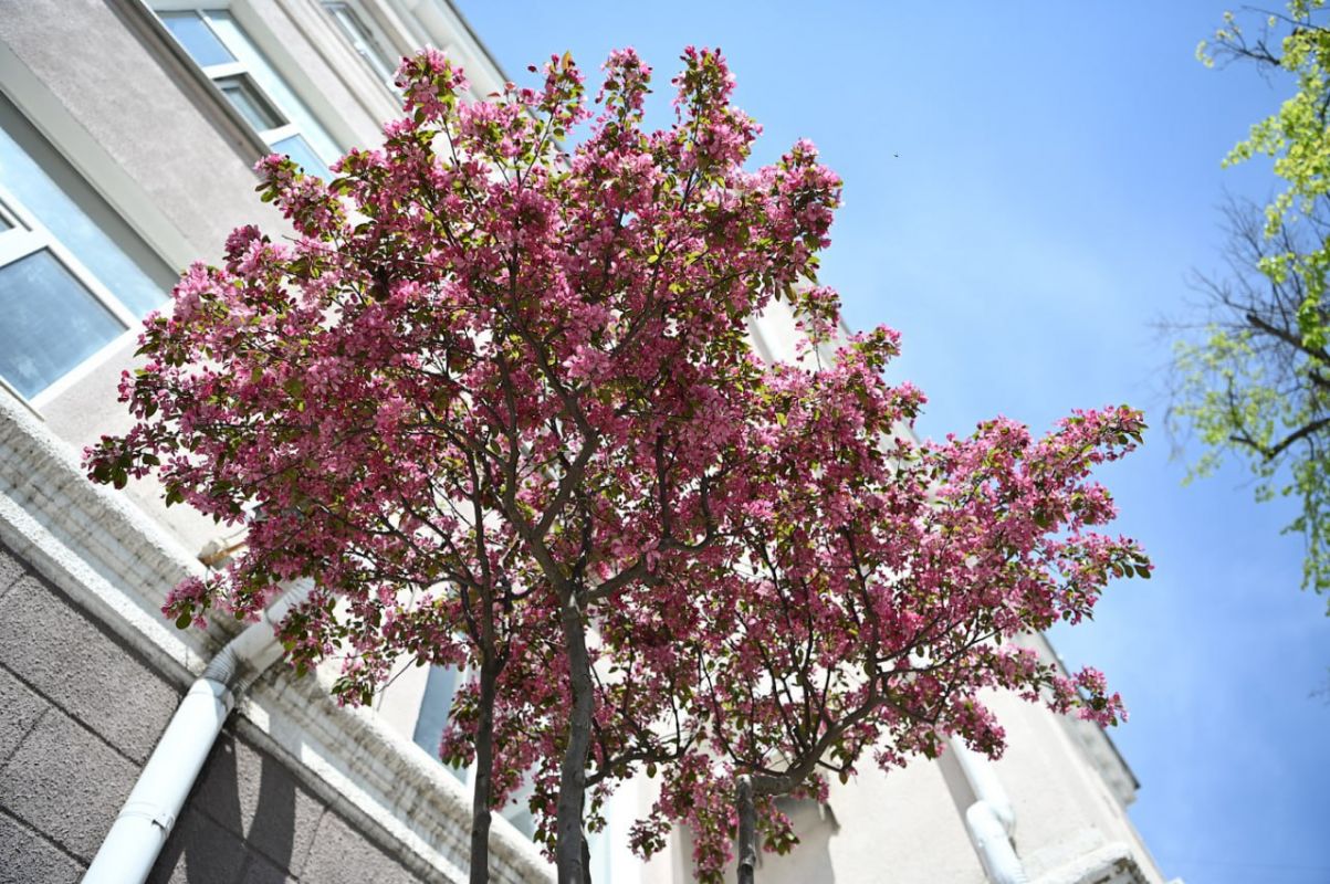 Белгородцев пугают сообщениями об эвакуации