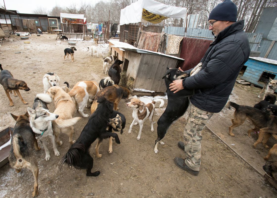 Белгородец с 50 хасками застрял в Шебекино