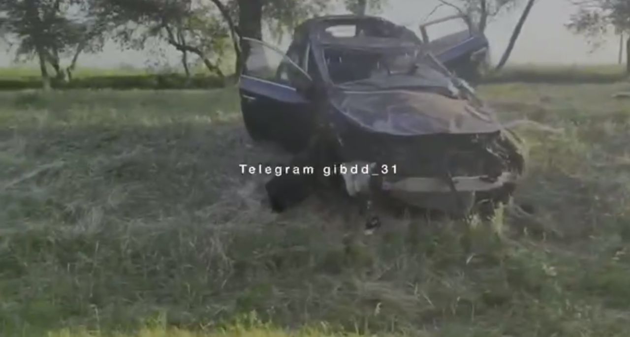 В Белгородской области трое подростков влетели на машине в дерево