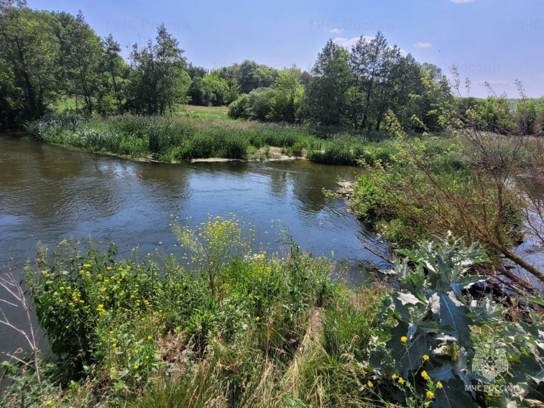 В Белгородской области в реке утонул мужчина