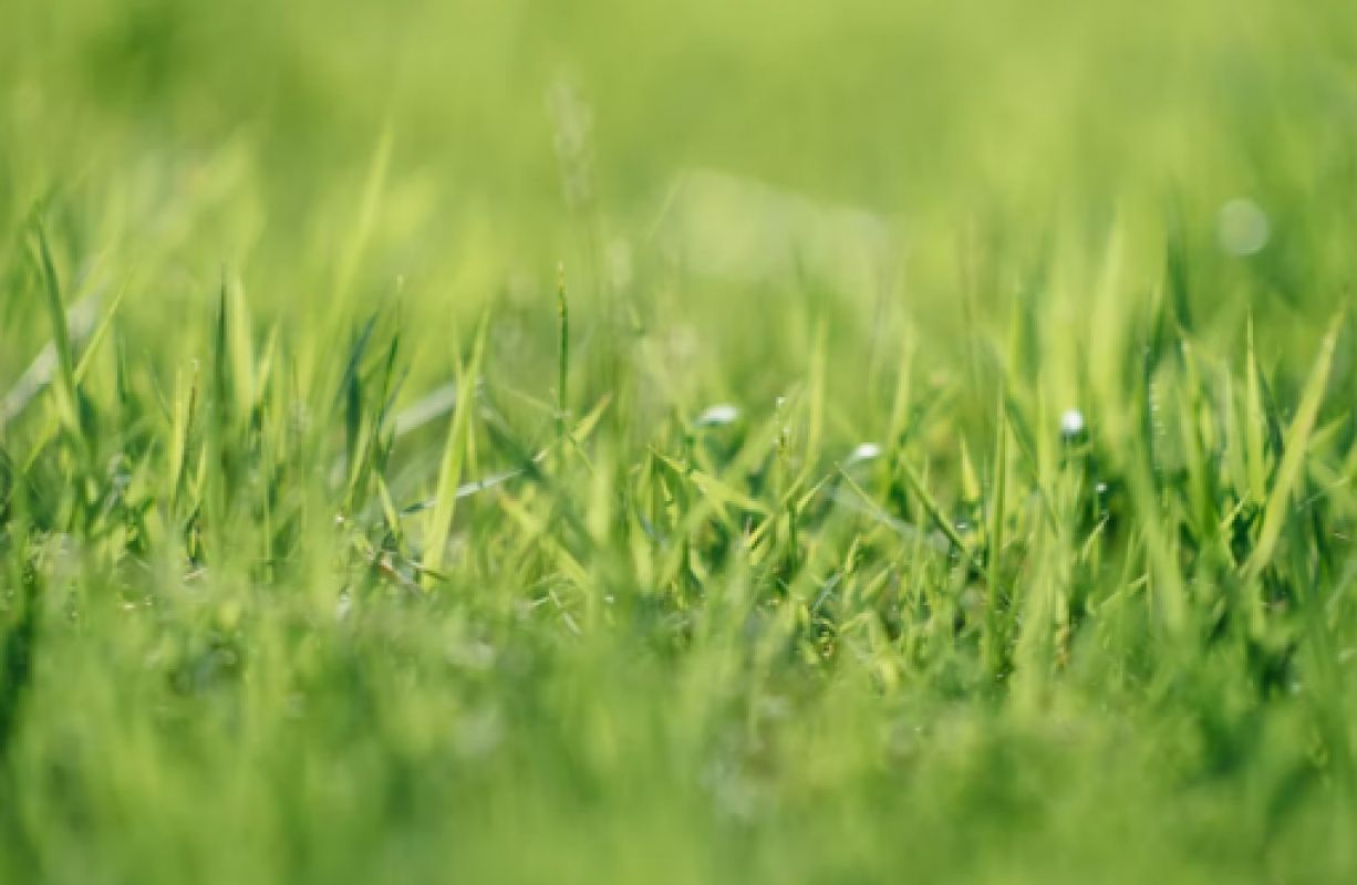 Белгородцев ждет третий жаркий день подряд